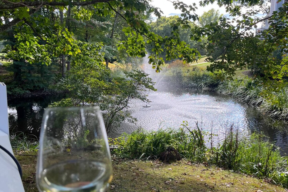 POV: Glass of wine on your private deck overlooking the koi pond water feature. Heaven.