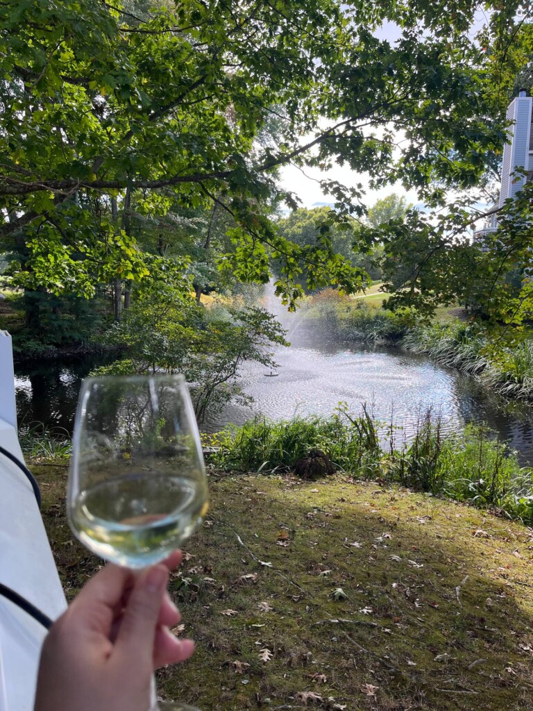 POV: Glass of wine on your private deck overlooking the koi pond water feature. Heaven.