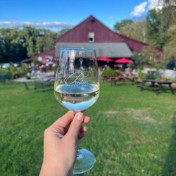 Visit the Connecticut Wine Trail during your stay and visit all 23 vineyards!