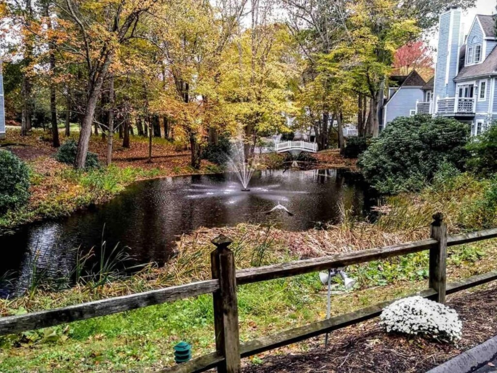 Enjoy a trip to Connecticut in the Fall and venture out on a leisure fall foliage drive to experience the vibrant scenery and falling leaves. You’ll never want to visit anywhere else this time of year!