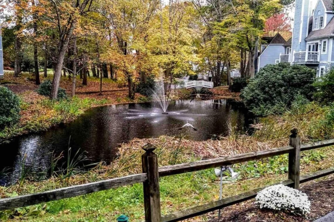 Enjoy a trip to Connecticut in the Fall and venture out on a leisure fall foliage drive to experience the vibrant scenery and falling leaves. You’ll never want to visit anywhere else this time of year!