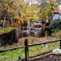 Enjoy a trip to Connecticut in the Fall and venture out on a leisure fall foliage drive to experience the vibrant scenery and falling leaves. You’ll never want to visit anywhere else this time of year!