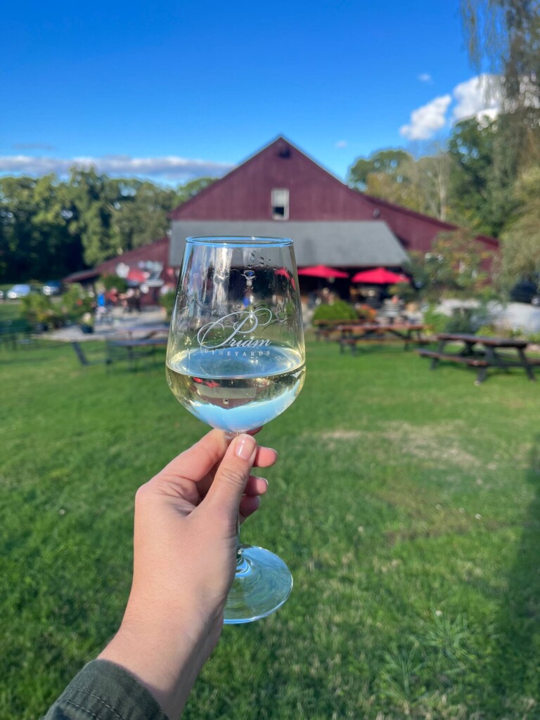Visit the Connecticut Wine Trail during your stay and visit all 23 vineyards!