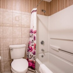 Your bathroom will be stocked with fresh towels and Public Goods toiletries. (shampoo, conditioner, body wash, etc.) Public Goods products are made from wholesome ingredient.