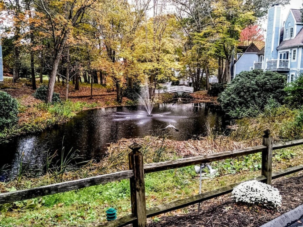 Enjoy a trip to Connecticut in the Fall and venture out on a leisure fall foliage drive to experience the vibrant scenery and falling leaves. You’ll never want to visit anywhere else this time of year!