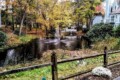 Enjoy a trip to Connecticut in the Fall and venture out on a leisure fall foliage drive to experience the vibrant scenery and falling leaves. You’ll never want to visit anywhere else this time of year!