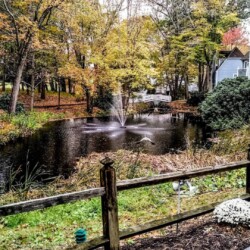 Enjoy a trip to Connecticut in the Fall and venture out on a leisure fall foliage drive to experience the vibrant scenery and falling leaves. You’ll never want to visit anywhere else this time of year!
